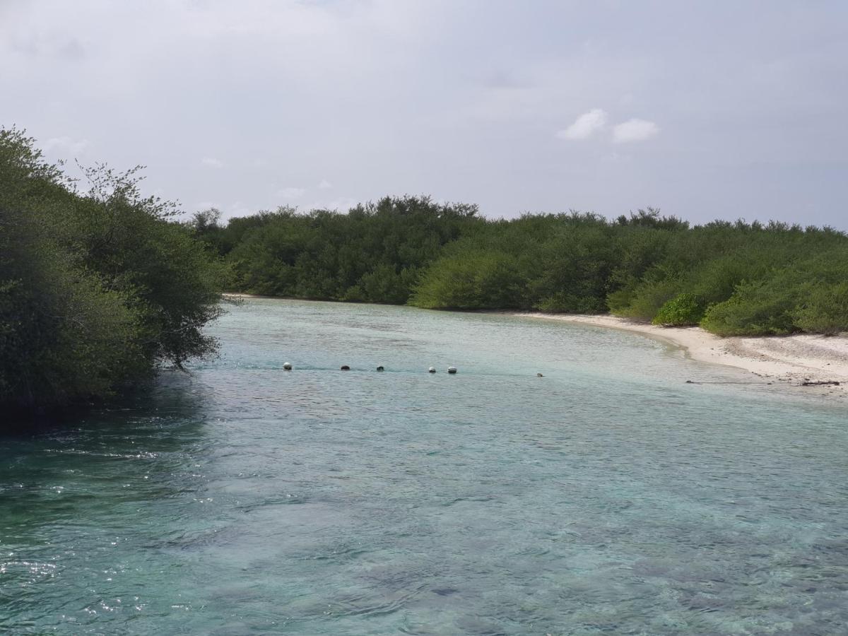 Orimas Retreat Hotell Thulusdhoo Eksteriør bilde